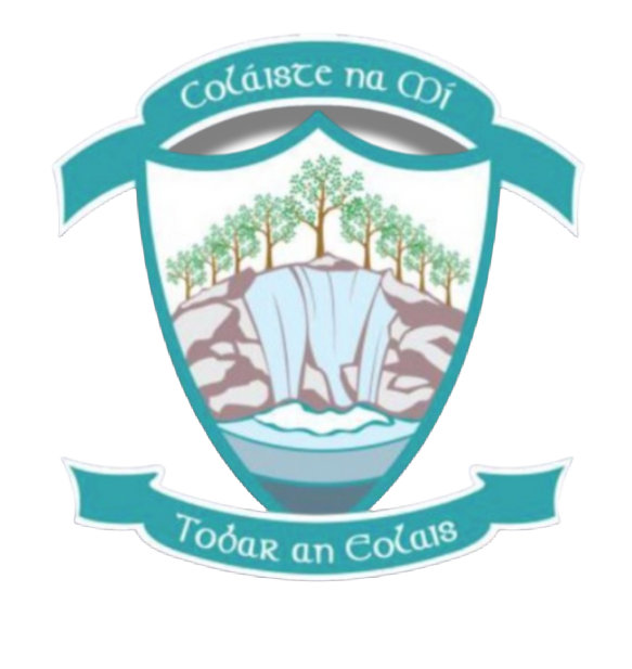 COLÁISTE NA MÍ Food Village School