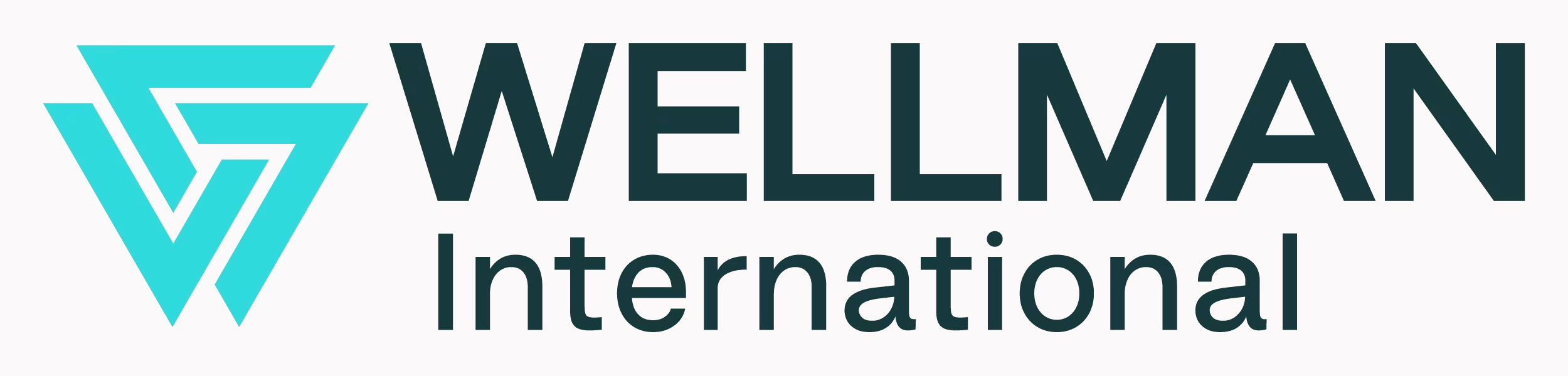 Wellman International Food Village Meals Food Village Onboarding MALAHIDE PORTMARNOCK ETSS MPETSS