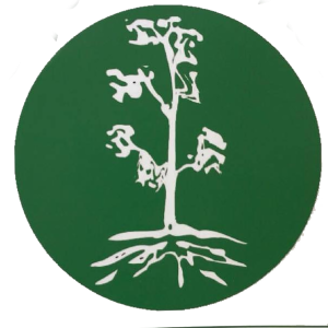 Boherbue Comprehensive crest